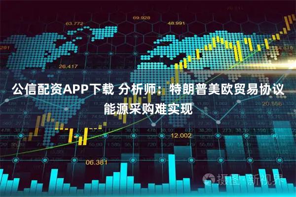 公信配资APP下载 分析师：特朗普美欧贸易协议能源采购难实现