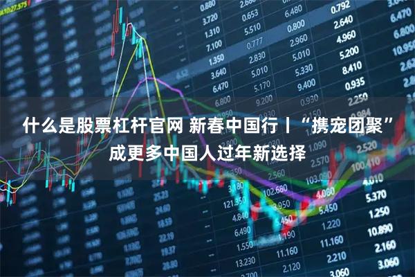 什么是股票杠杆官网 新春中国行丨“携宠团聚”成更多中国人过年新选择