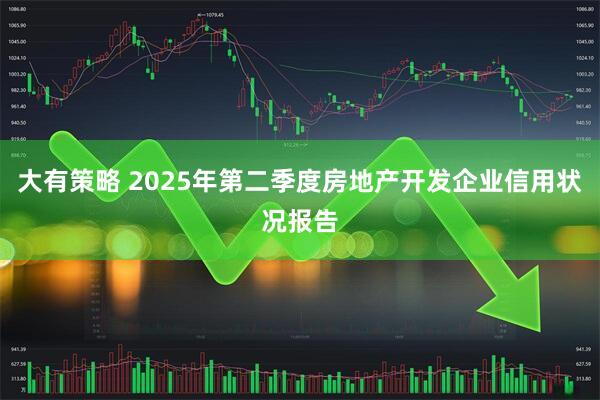 大有策略 2025年第二季度房地产开发企业信用状况报告